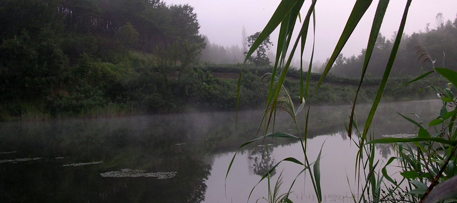 b30.jpg