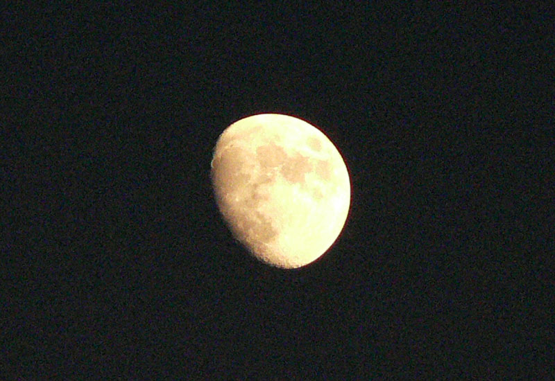 c66.jpg