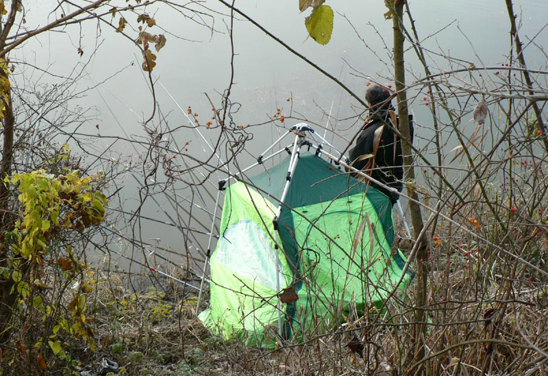 c83.jpg