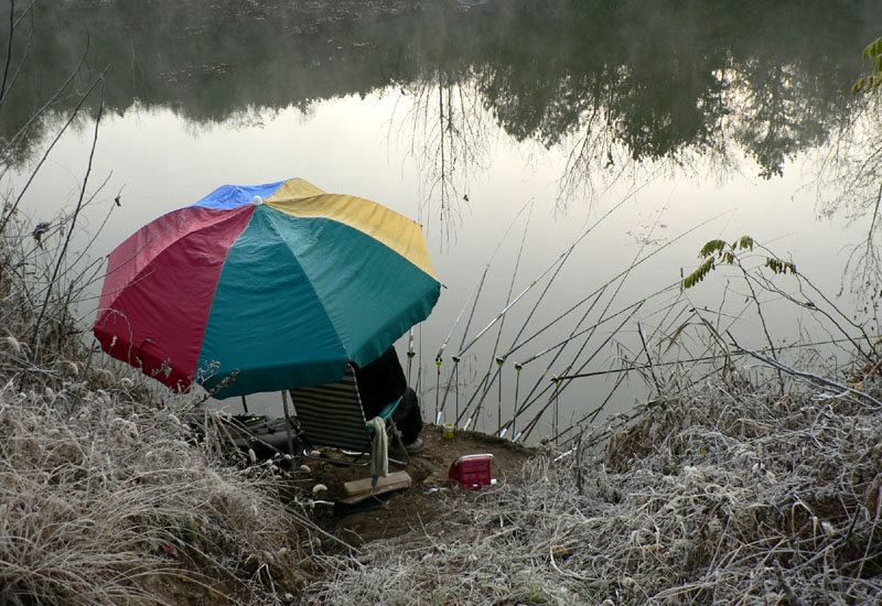 c84.jpg