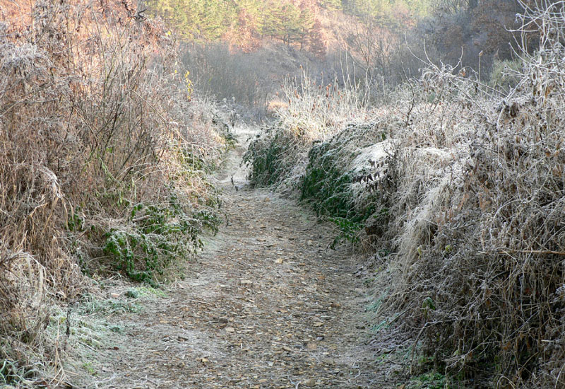 c90.jpg