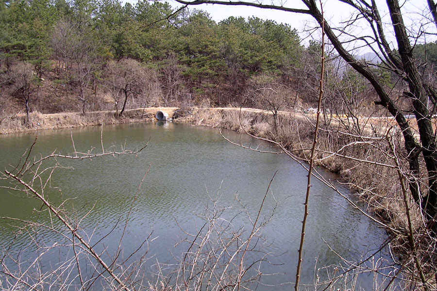b35.jpg