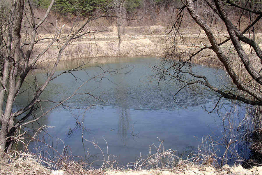b37.jpg