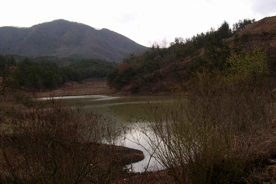 b66.jpg
