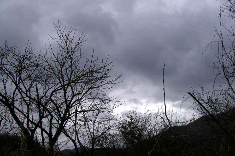 b69.jpg