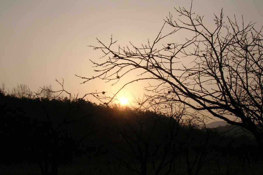 b71.jpg