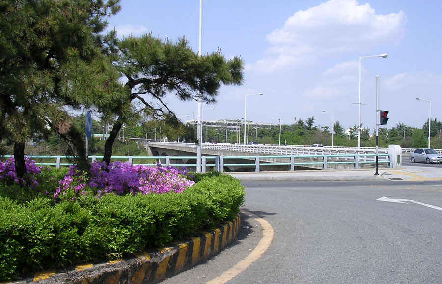 cc11.jpg