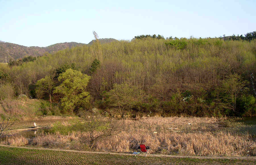cc23.jpg