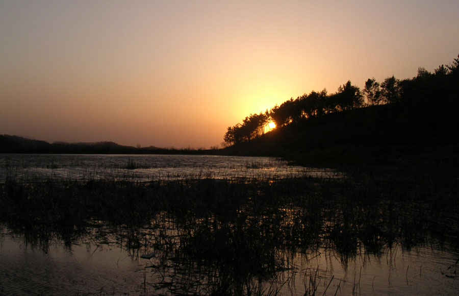 cc24.jpg