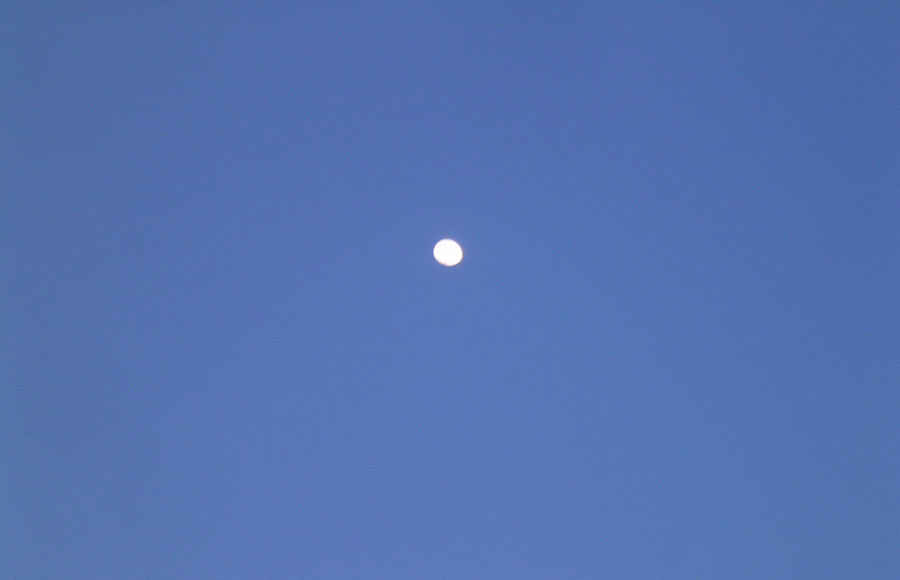 cc25.jpg