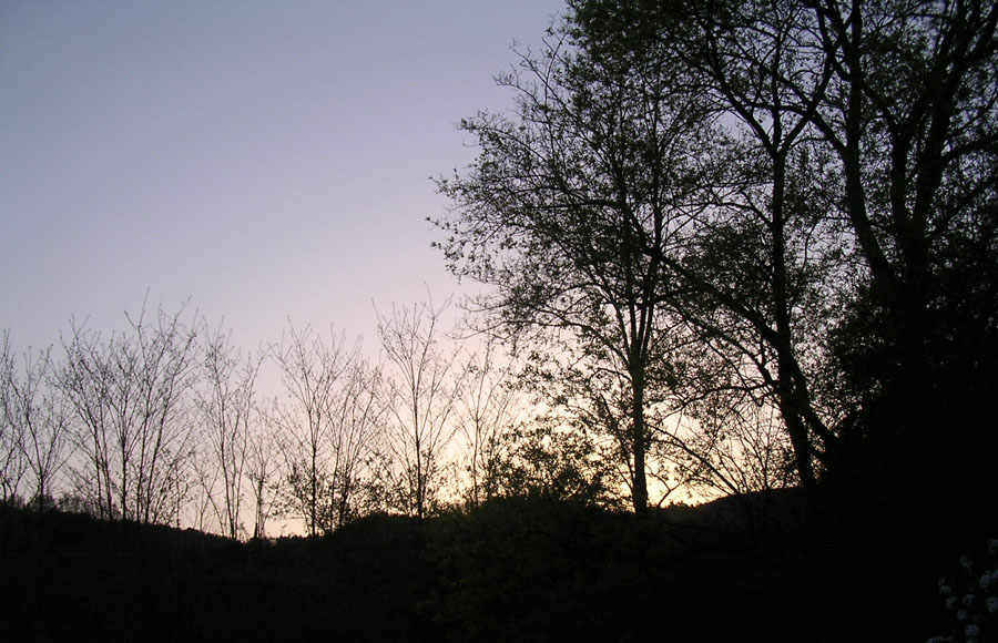 cc29.jpg
