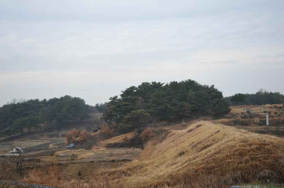 JOO144-050.JPG