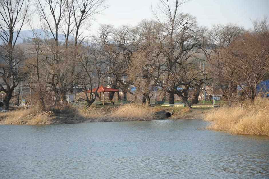 JOO147-029.JPG