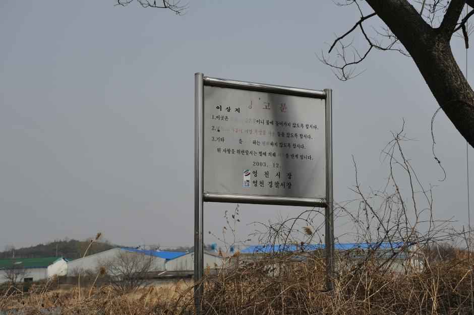 JOO147-095.JPG