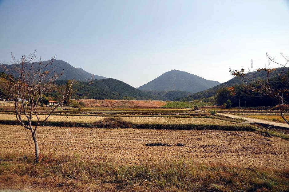 JOO172-003.JPG