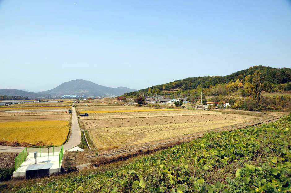 JOO172-019.JPG