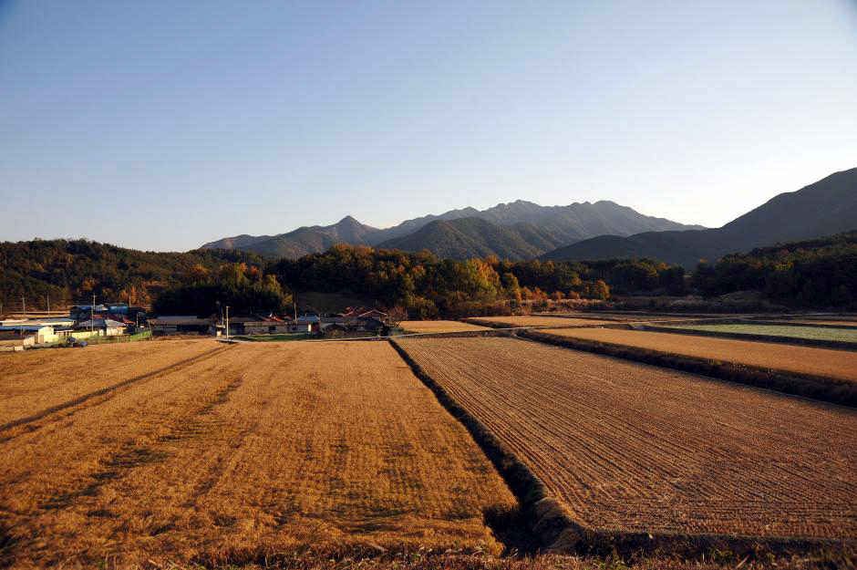 JOO172-294.JPG