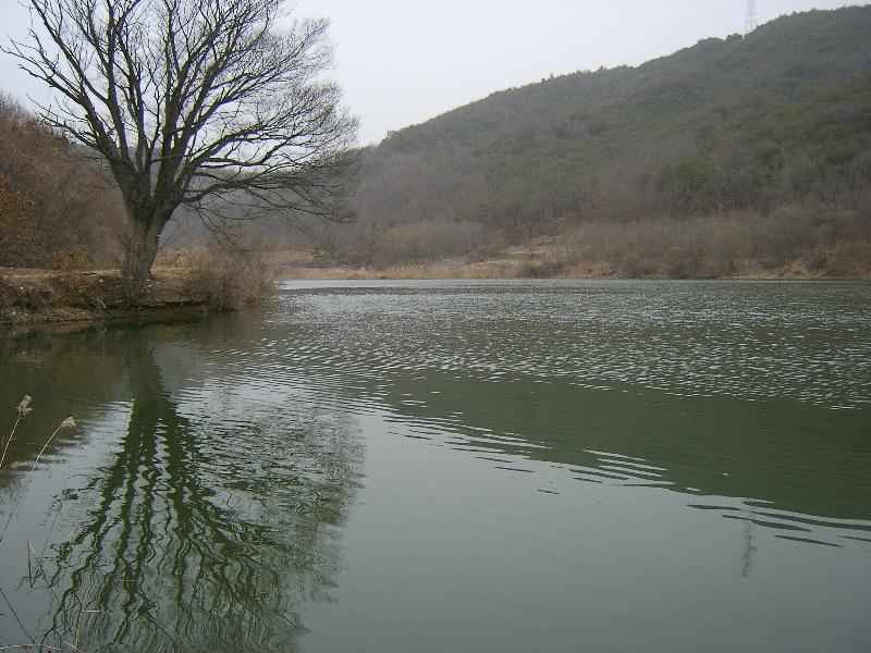SA500110-47.JPG