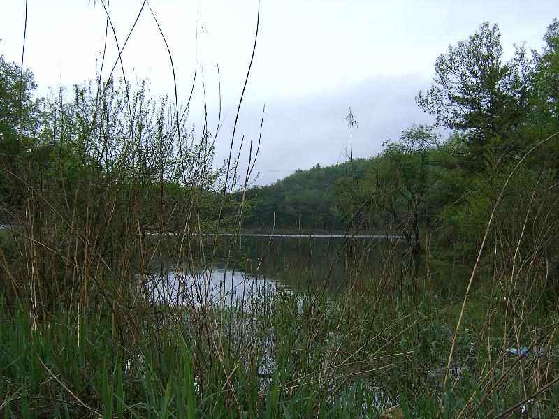 SA500322-54.JPG