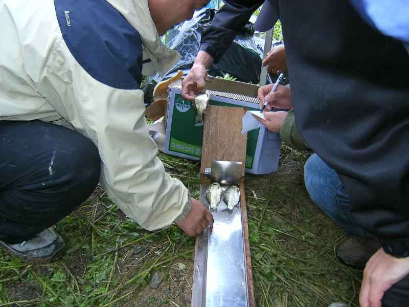 SA500410-55.JPG