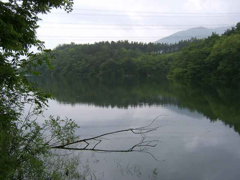 SA500425-55.JPG