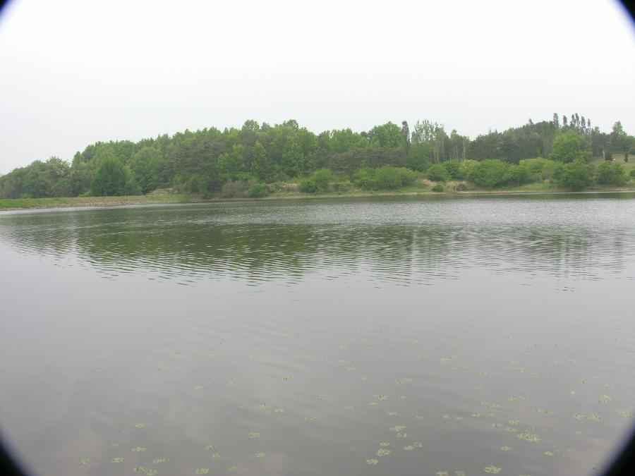DSCN0048-74.JPG