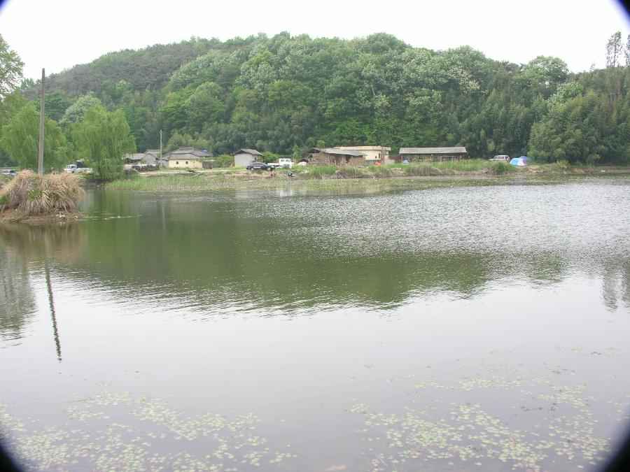 DSCN0051-74.JPG