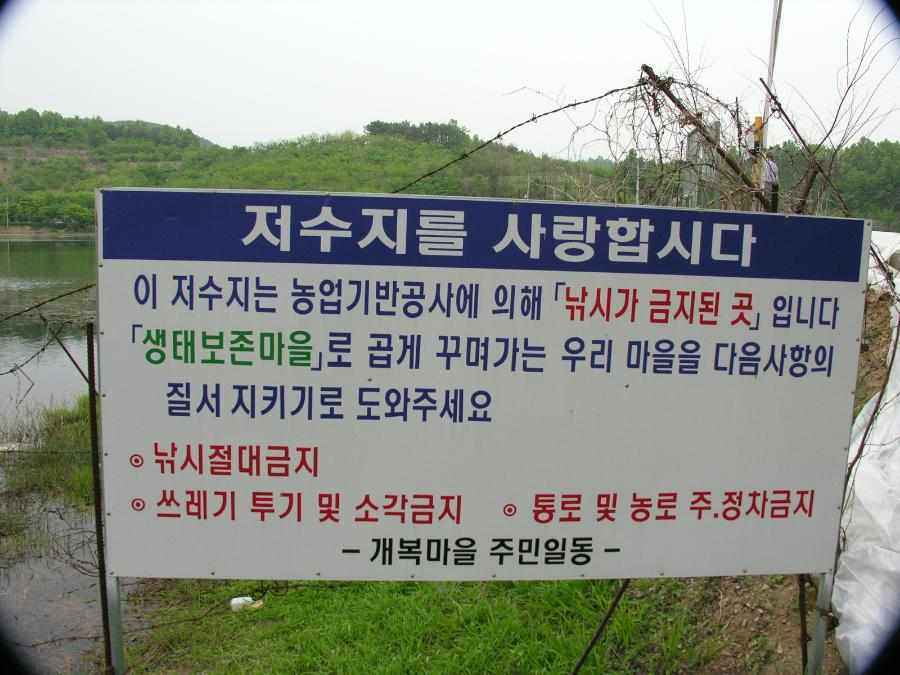 DSCN9843-74.JPG