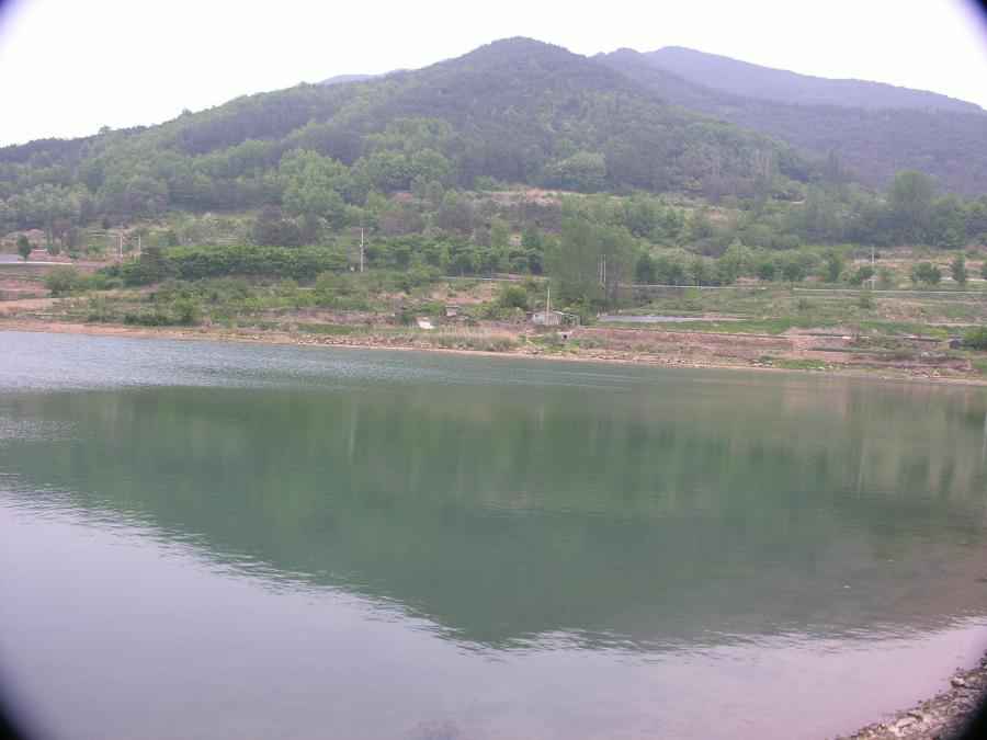 DSCN9865-74.JPG