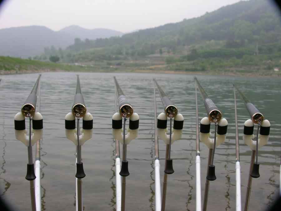 DSCN9882-74.JPG