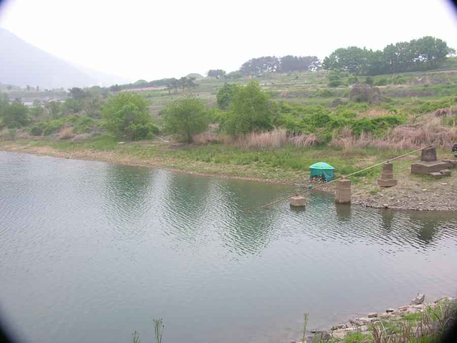 DSCN9893-74.JPG
