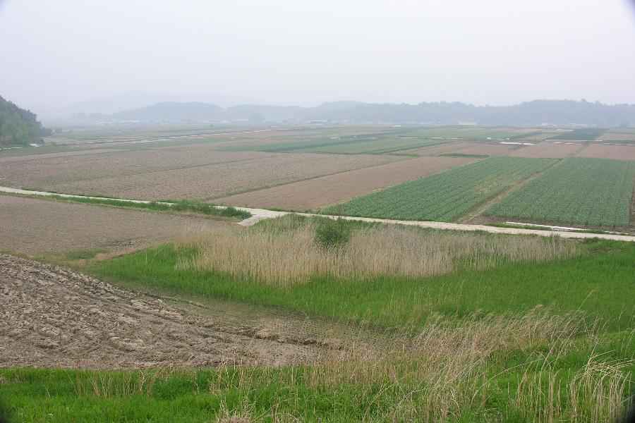 DSCN9897-74.JPG
