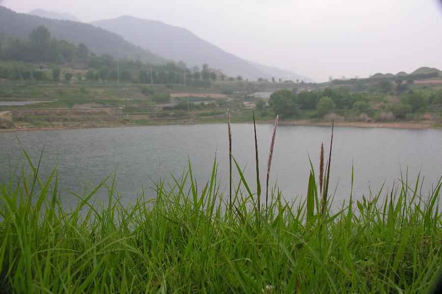 DSCN9899-74.JPG