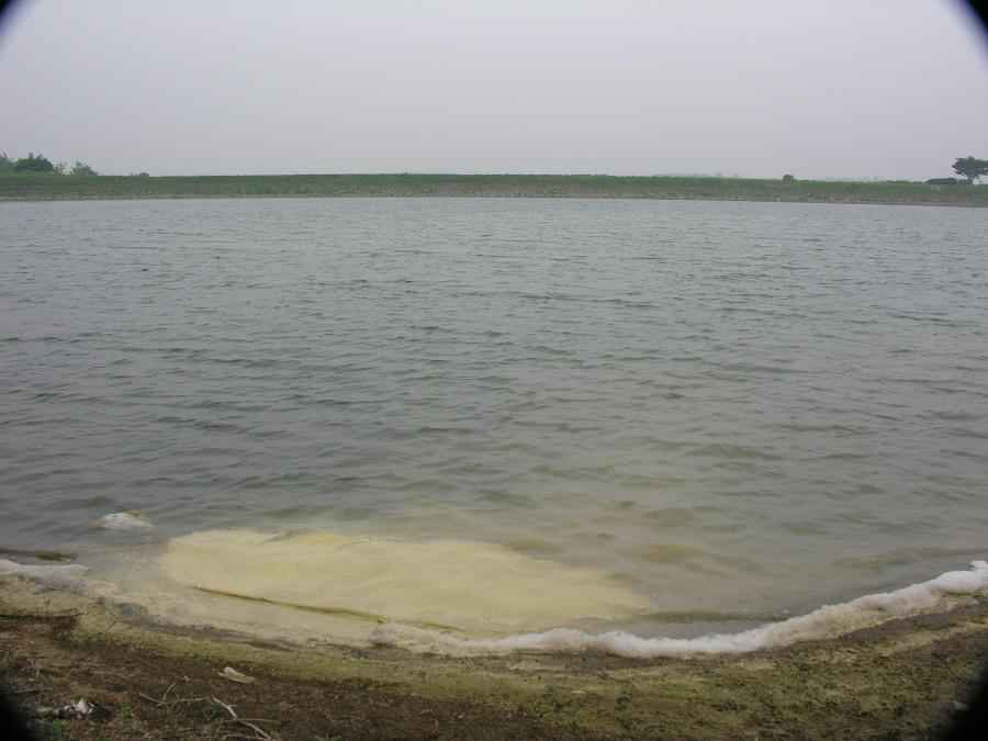 DSCN9913-74.JPG