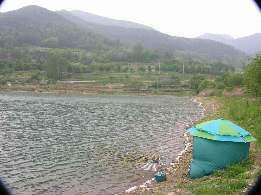 DSCN9987-74.JPG