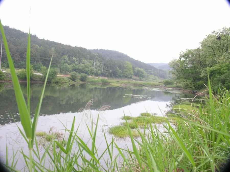 DSCN0089-75.JPG