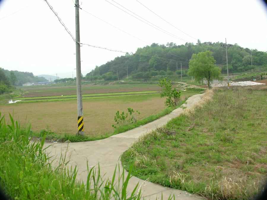 DSCN0108-75.JPG