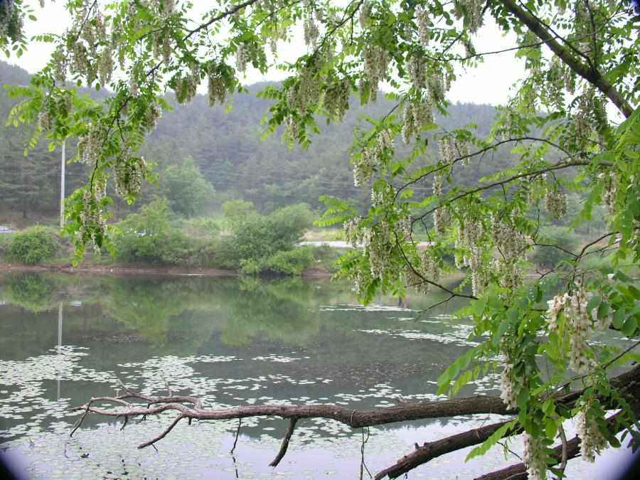 DSCN0140-75.JPG