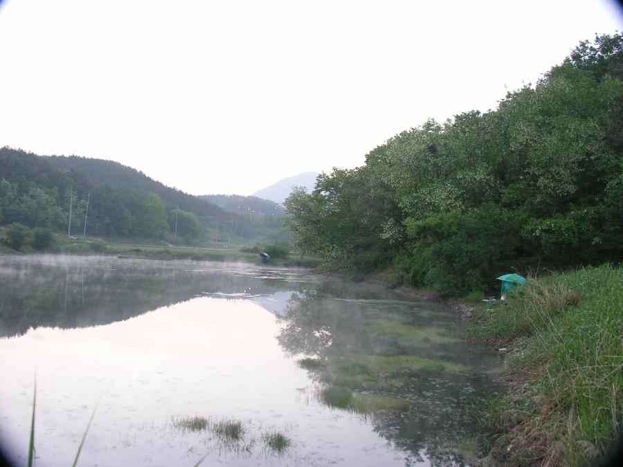 DSCN0171-75.JPG