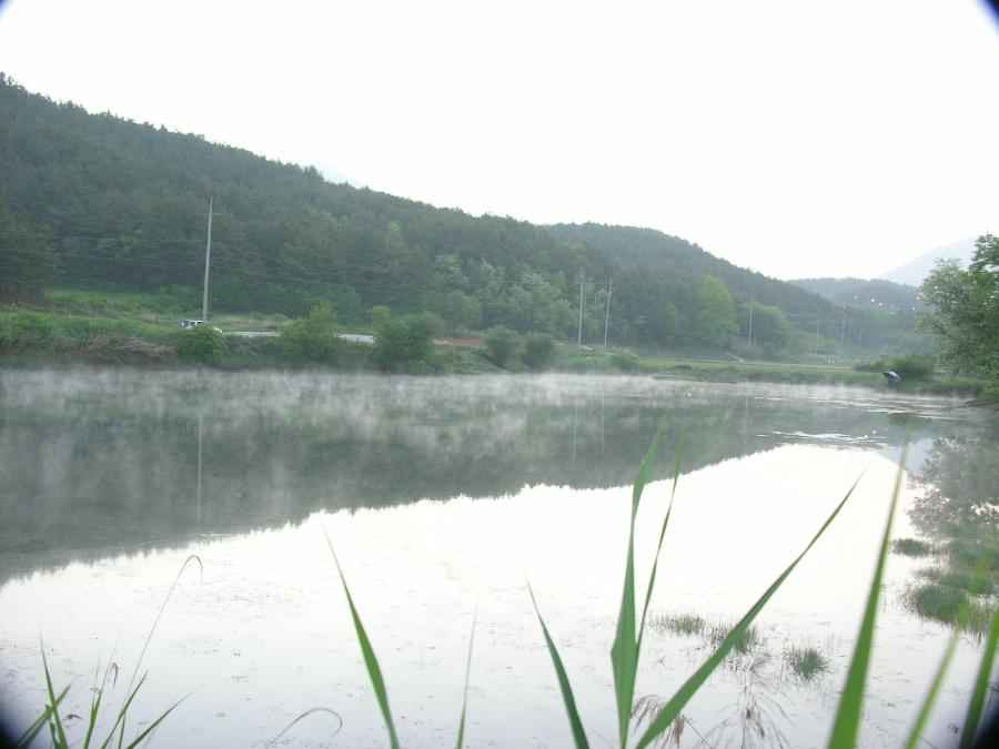 DSCN0172-75.JPG