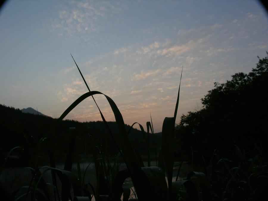 DSCN0190-75.JPG