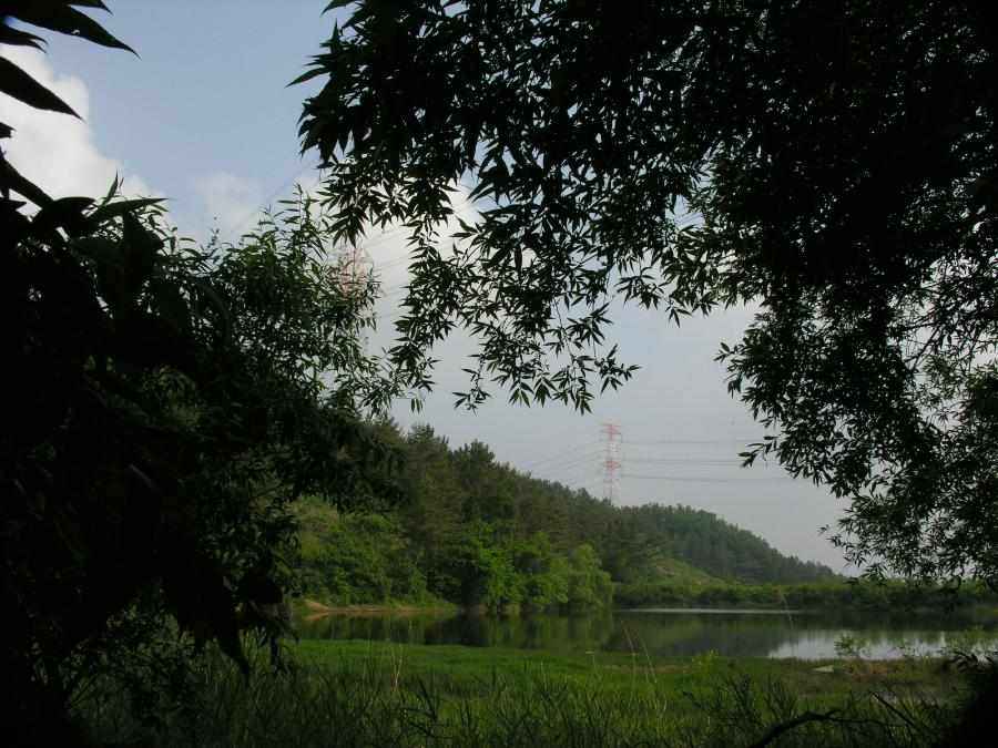 Dscn0468-76.JPG