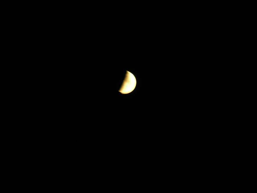 DSCN0616-77.JPG