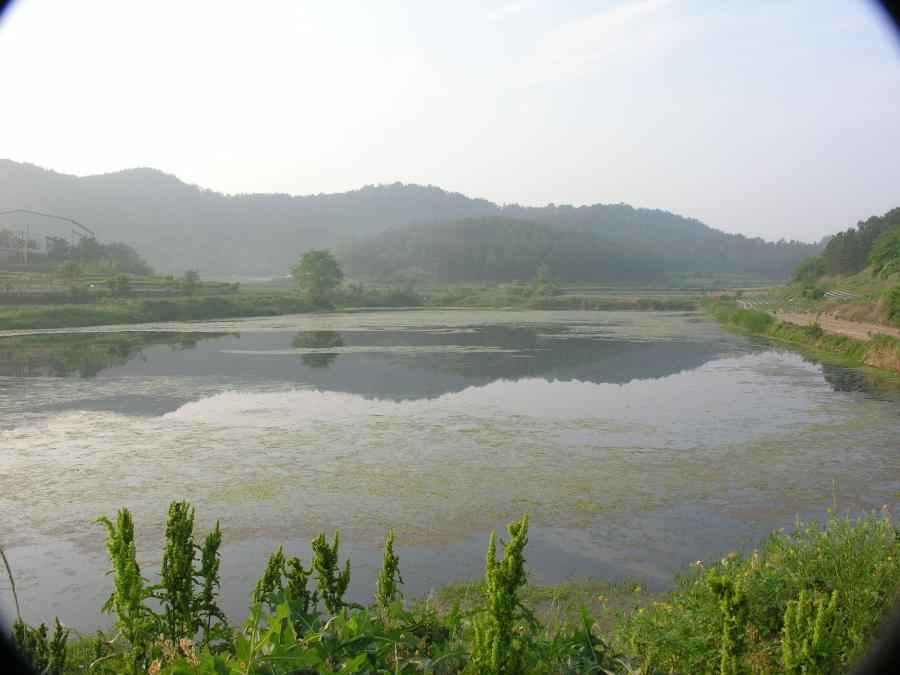 DSCN0720-77.JPG