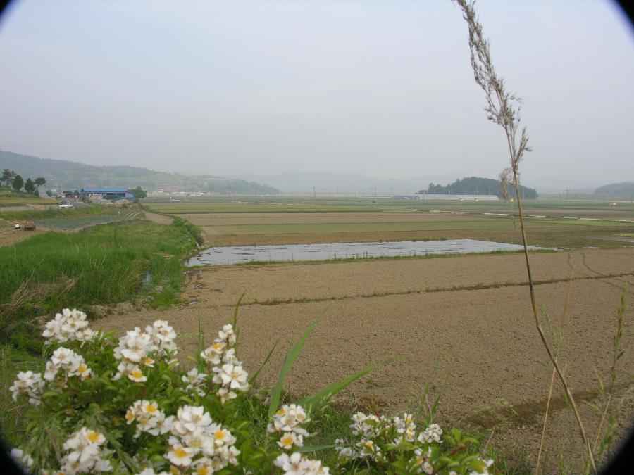 DSCN0721-77.JPG