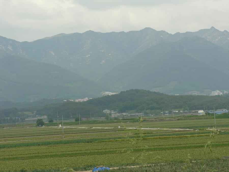 DSCN0921-77.JPG