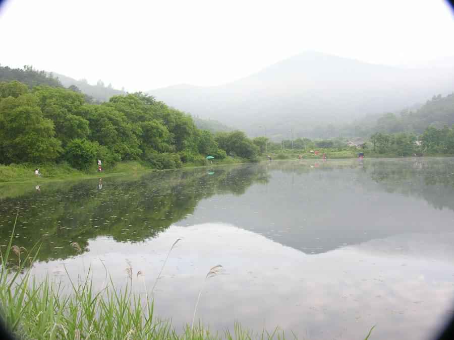 Dscn0979-78.JPG