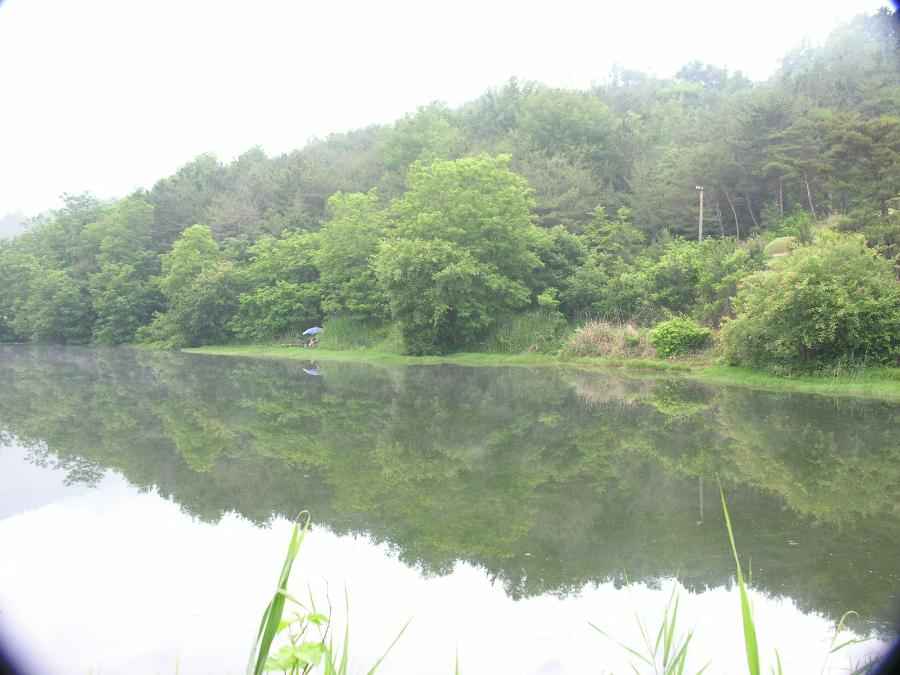 Dscn0991-78.JPG