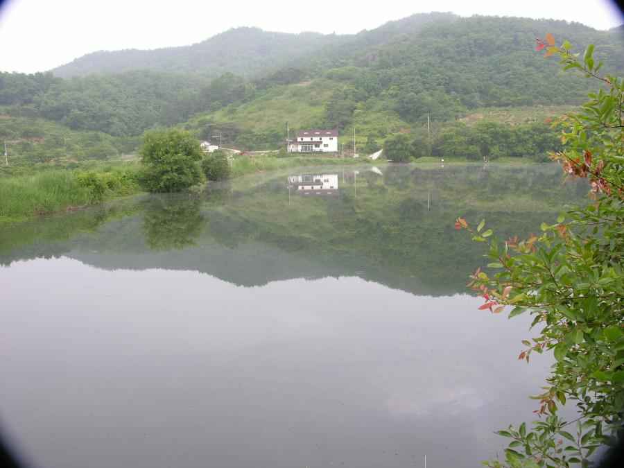 Dscn1000-78.JPG