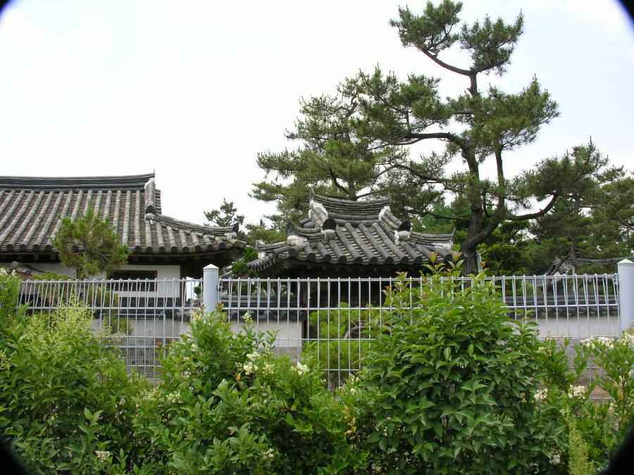 Dscn1399-79.JPG